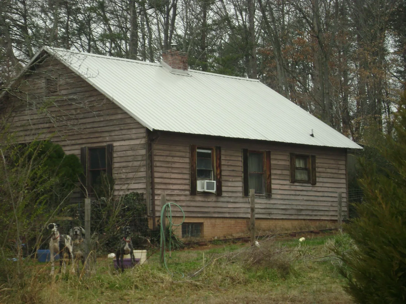 White metal roof on an old wood sided farmhouse, from a Asphalt Shingle Roof Repair job in Winter Springs